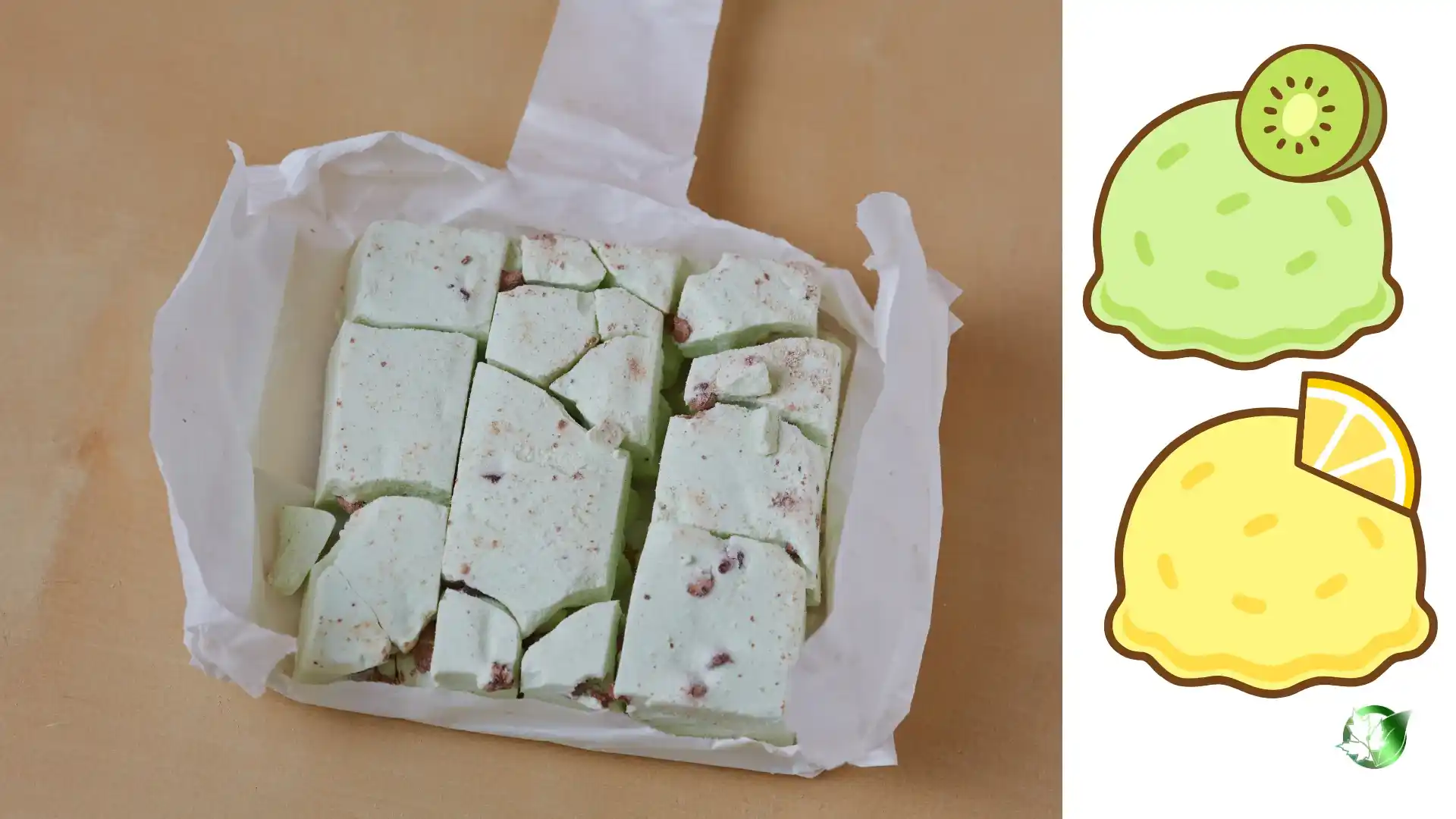 Commercial presentation of Freeze-Dried Ice Cream for wholesale product evaluation and buyer review.